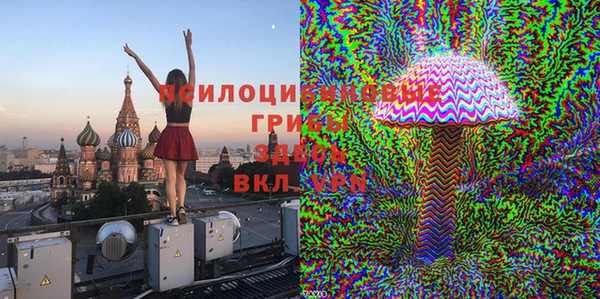герыч Каменка