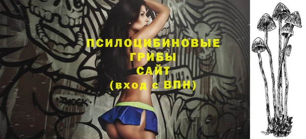 mdpv Каменск-Шахтинский