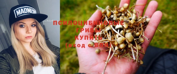 герыч Каменка
